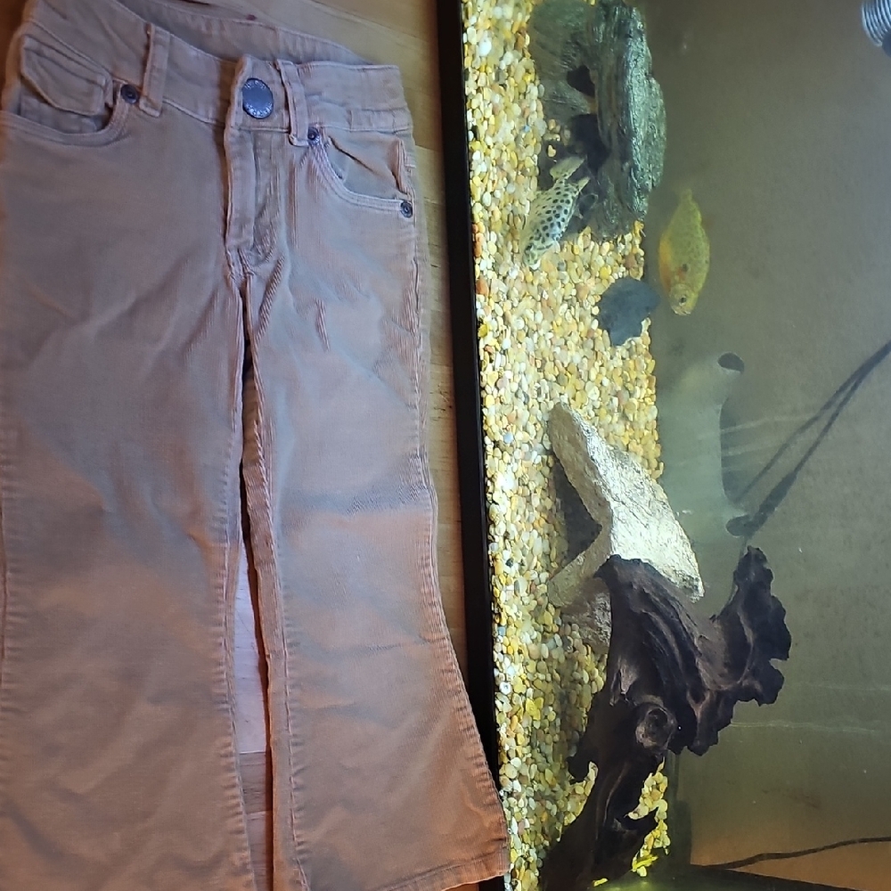 Women's Tan Jeans